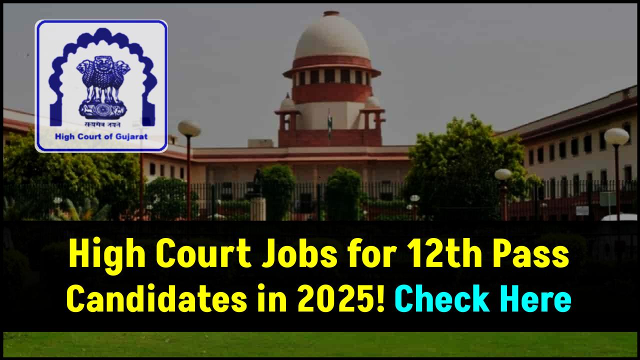 High Court Recruitment 2025: Openings for 12th Pass Candidates, Minimum Height 162 cm, Applications Now Open