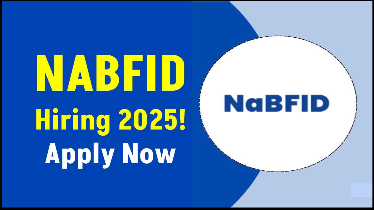 NABFID Hiring Alert 2025: Analyst Vacancies Announced – Check Eligibility & Apply Online