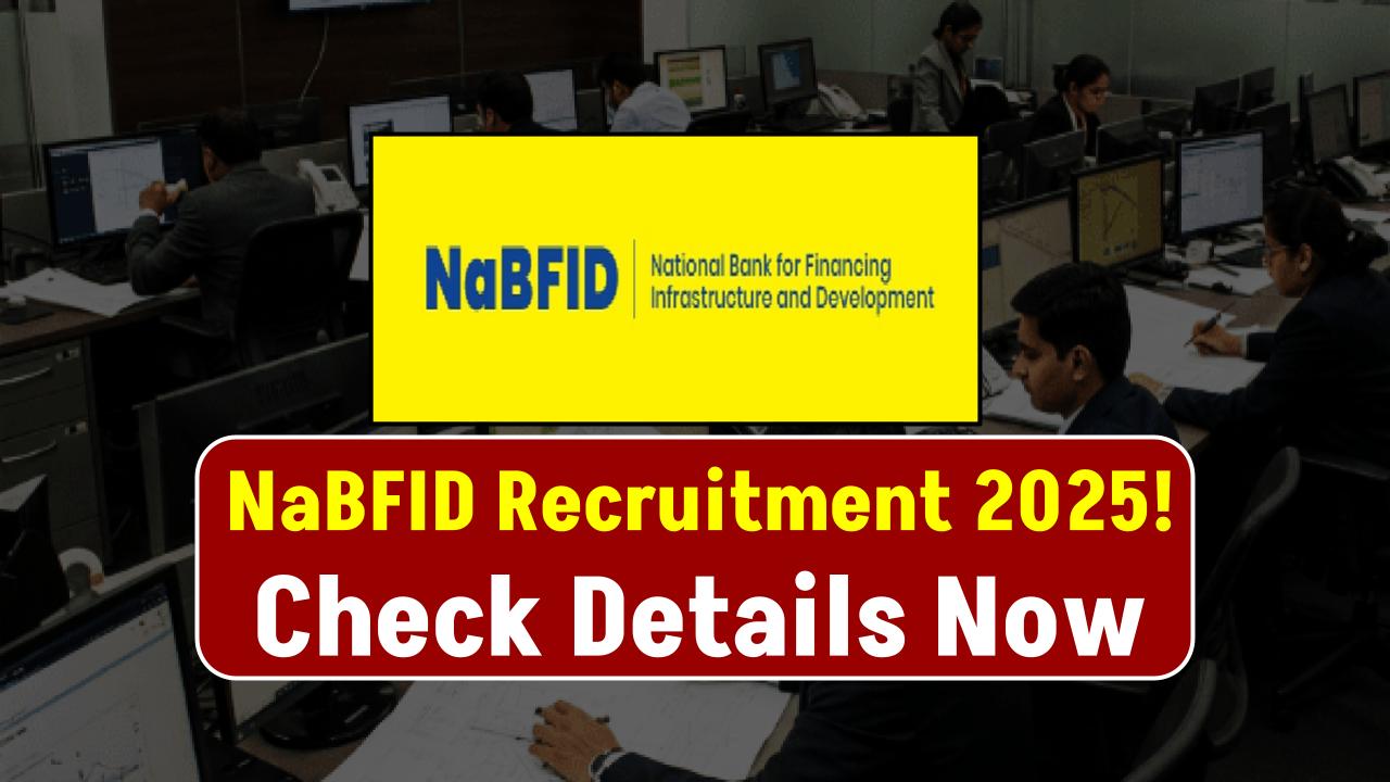 NABFID Recruitment 2025: Unlock Your Dream Analyst Job – Eligibility & Application Details Revealed!