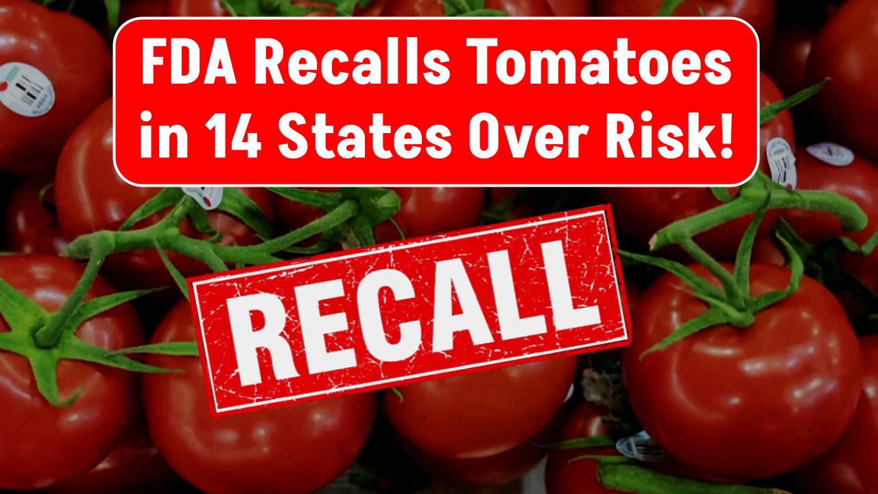 Tomatoes Recalled In 14 States After FDA Flags Highest Risk Warning